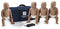 PRESTAN INFANT / BABY CPR MANIKIN W/ MONITOR - 4 PACK - DARK SKIN