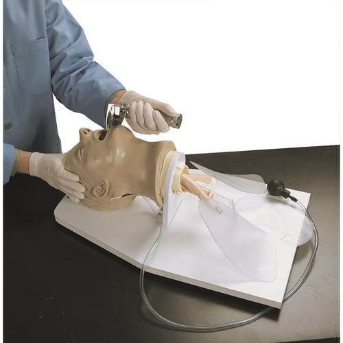 Adult "Airway Larry" Management Trainer W/Stand
