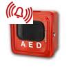 Outdoor AED Alarmed Cabinet
